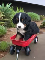 processed/67368a44-38b7-4868-b454-b5ce9d9decdb/facility/da3e36c3-e477-4d08-a67d-5038b1ef3cbf