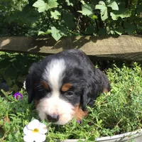 processed/67368a44-38b7-4868-b454-b5ce9d9decdb/facility/ddb73ccd-c718-412a-a0a8-5122492ff898