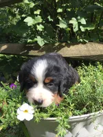 processed/67368a44-38b7-4868-b454-b5ce9d9decdb/facility/ddb73ccd-c718-412a-a0a8-5122492ff898