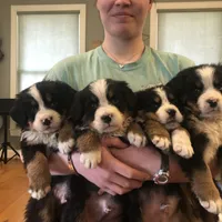 processed/67368a44-38b7-4868-b454-b5ce9d9decdb/facility/ddf3d047-fe0e-46f7-98ed-5d275f497220