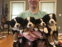 processed/67368a44-38b7-4868-b454-b5ce9d9decdb/facility/ddf3d047-fe0e-46f7-98ed-5d275f497220