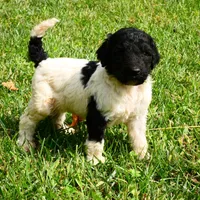 processed/67368a44-38b7-4868-b454-b5ce9d9decdb/facility/e20bffe4-d856-4678-ab74-9f57dd5e47ee