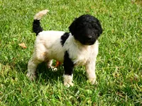 processed/67368a44-38b7-4868-b454-b5ce9d9decdb/facility/e20bffe4-d856-4678-ab74-9f57dd5e47ee