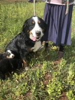 processed/67368a44-38b7-4868-b454-b5ce9d9decdb/listing/46cc7a93-a80a-4e55-8e8a-8b2edfed2944/d7fe848c-afae-427b-a735-2096b1d37408