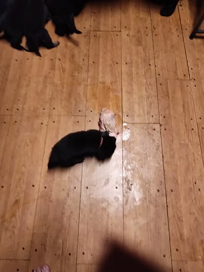 Facility video