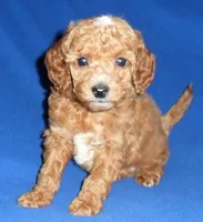 processed/674b0433-0dcd-4d03-af26-0ba9caa3d794/listing/0c4c4752-0c3f-469d-9c13-ea7b29b3b5b9/30581629-59ea-4697-83ca-649f1545263c