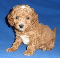 processed/674b0433-0dcd-4d03-af26-0ba9caa3d794/listing/0c4c4752-0c3f-469d-9c13-ea7b29b3b5b9/8cac403e-20f9-422f-a9b2-1b44e4333a59