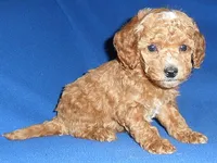 processed/674b0433-0dcd-4d03-af26-0ba9caa3d794/listing/0c4c4752-0c3f-469d-9c13-ea7b29b3b5b9/c6769828-f4e3-436b-b686-152a119b42df