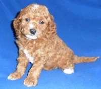 processed/674b0433-0dcd-4d03-af26-0ba9caa3d794/listing/3e401683-5f51-49ba-a592-6fc630c2b424/e6685608-f244-4391-a7a3-f98620d966f8