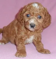 processed/674b0433-0dcd-4d03-af26-0ba9caa3d794/listing/406b6101-fb33-4c3a-8029-d9c83ac385ce/75082cf1-c5be-45ab-bb23-1a3a88828089