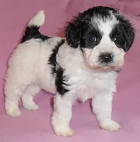 processed/674b0433-0dcd-4d03-af26-0ba9caa3d794/listing/4b689394-51d0-40fd-a667-d437bb62f243/8e013ebf-c549-4140-af65-e19cbf3bf6b8