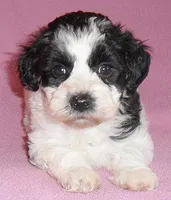 processed/674b0433-0dcd-4d03-af26-0ba9caa3d794/listing/4b689394-51d0-40fd-a667-d437bb62f243/e3141cea-3d69-4e38-95f2-fa38c4912bcc