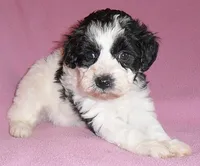 processed/674b0433-0dcd-4d03-af26-0ba9caa3d794/listing/4b689394-51d0-40fd-a667-d437bb62f243/e6e7dfda-c874-4927-9e24-ffb4bca94ee6