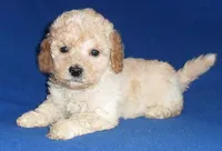 processed/674b0433-0dcd-4d03-af26-0ba9caa3d794/listing/5bfe68f7-3d46-4b85-a332-1c7be90128b5/9d073b74-80e4-4dd7-8f4b-d6d42371df25