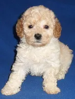 processed/674b0433-0dcd-4d03-af26-0ba9caa3d794/listing/5bfe68f7-3d46-4b85-a332-1c7be90128b5/c4ad1494-2cc4-4c32-aaa3-f3cf9530a6e0