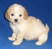 processed/674b0433-0dcd-4d03-af26-0ba9caa3d794/listing/856327ff-33bf-4a1a-94c1-ccb90df0da8e/81d9924d-3837-4e35-b328-f7350e3ef807