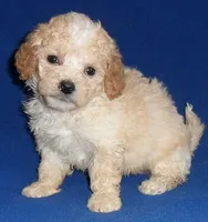 processed/674b0433-0dcd-4d03-af26-0ba9caa3d794/listing/856327ff-33bf-4a1a-94c1-ccb90df0da8e/8ca2828a-1c58-4793-931b-896f9fcd9535