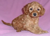 processed/674b0433-0dcd-4d03-af26-0ba9caa3d794/listing/c22db07a-49d7-46e5-937d-13f982c0deab/c5253273-25e8-4aef-868f-22485193f5ef