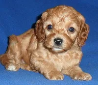 processed/674b0433-0dcd-4d03-af26-0ba9caa3d794/listing/dc095841-2c0c-43ac-a49d-6940bf3ff6af/9e037677-2a4c-4d92-8a40-62e4284bfed0