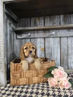 processed/675200d8-2c7a-467a-90b1-a94961931b00/listing/3c428945-c0dd-4256-af04-4319887edd10/1fe24e4f-8a3f-406b-beda-718009ed5393