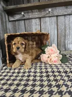 processed/675200d8-2c7a-467a-90b1-a94961931b00/listing/3c428945-c0dd-4256-af04-4319887edd10/85f732a9-d984-43b2-bd84-2afeecd5bae2