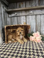 processed/675200d8-2c7a-467a-90b1-a94961931b00/listing/3c428945-c0dd-4256-af04-4319887edd10/c230eb0f-45da-4d39-b36c-bb7f4fa9ca7c