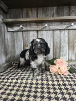 processed/675200d8-2c7a-467a-90b1-a94961931b00/listing/86efdc85-999b-4225-9cd0-8f3ca53e81c8/0d67000c-2daf-4d65-911e-73ad6e73541d