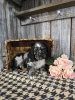 processed/675200d8-2c7a-467a-90b1-a94961931b00/listing/86efdc85-999b-4225-9cd0-8f3ca53e81c8/9d62cf77-f8c3-41a1-ad22-10986b346c10