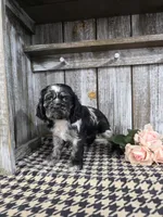 processed/675200d8-2c7a-467a-90b1-a94961931b00/listing/86efdc85-999b-4225-9cd0-8f3ca53e81c8/a544a1a3-2580-4790-89a9-655c8b88d4b4