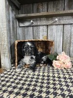 processed/675200d8-2c7a-467a-90b1-a94961931b00/listing/86efdc85-999b-4225-9cd0-8f3ca53e81c8/b9017185-a614-4723-a933-ce0608257201