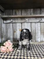 processed/675200d8-2c7a-467a-90b1-a94961931b00/listing/86efdc85-999b-4225-9cd0-8f3ca53e81c8/ffb2329b-6de4-4234-a74d-271e87032653