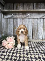 processed/675200d8-2c7a-467a-90b1-a94961931b00/listing/cbd697b8-592f-45b6-a4dd-d900ba29eaaa/06313dd4-748a-4113-829e-ad9035ca994d