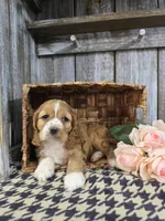 processed/675200d8-2c7a-467a-90b1-a94961931b00/listing/cbd697b8-592f-45b6-a4dd-d900ba29eaaa/0bdc272e-f46f-48b8-ac33-d12760723a84