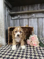 processed/675200d8-2c7a-467a-90b1-a94961931b00/listing/cbd697b8-592f-45b6-a4dd-d900ba29eaaa/4f9d97f4-8b9f-40c1-b3c0-060ae9abafd8