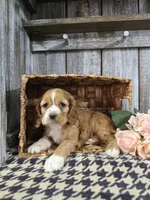 processed/675200d8-2c7a-467a-90b1-a94961931b00/listing/cbd697b8-592f-45b6-a4dd-d900ba29eaaa/65c7e92d-4198-4fdd-b1b8-05bc19d1bdd6