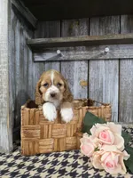 processed/675200d8-2c7a-467a-90b1-a94961931b00/listing/cbd697b8-592f-45b6-a4dd-d900ba29eaaa/8e1bb628-7ad5-4191-8ada-3296cef55a17