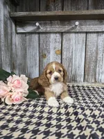 processed/675200d8-2c7a-467a-90b1-a94961931b00/listing/cbd697b8-592f-45b6-a4dd-d900ba29eaaa/a5f8f9e3-c11a-44a1-b4cd-195fd3f5cb96