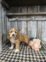 processed/675200d8-2c7a-467a-90b1-a94961931b00/listing/cbd697b8-592f-45b6-a4dd-d900ba29eaaa/d2025d2f-7587-4f59-bbe8-70868182f786