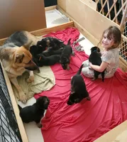 processed/6752cd9a-1cd8-4473-840c-ec90fbb3b0ba/facility/38cdfd25-5a50-484d-9e9b-dcbe805412fe