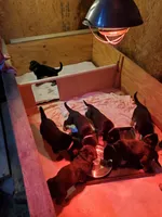 processed/6752cd9a-1cd8-4473-840c-ec90fbb3b0ba/facility/50747cf2-6322-4198-a411-cee97c2753d3