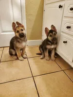 processed/6752cd9a-1cd8-4473-840c-ec90fbb3b0ba/facility/51345535-6f8b-41bc-b5f0-c526319b474e