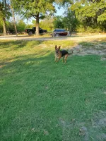 processed/6752cd9a-1cd8-4473-840c-ec90fbb3b0ba/facility/9559d97f-53bf-4cf2-89f4-0f24679becae