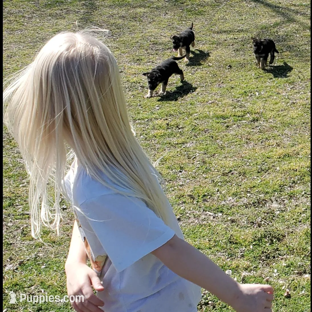 processed/6752cd9a-1cd8-4473-840c-ec90fbb3b0ba/facility/e58bdd0d-b6d8-4b5e-ba28-8e15bff58789