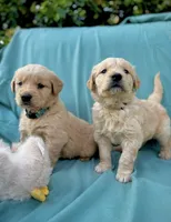 processed/6763a245-a80f-456c-8ab5-c8128ef9cf71/facility/09882a1d-eb70-43a9-bb9a-779ec3c0a345