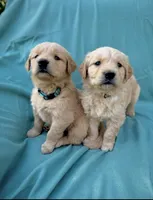 processed/6763a245-a80f-456c-8ab5-c8128ef9cf71/facility/4b19e68d-8e58-4e1e-b126-098c4901a151