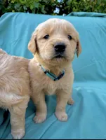 processed/6763a245-a80f-456c-8ab5-c8128ef9cf71/facility/6b3efce0-3917-4e5f-b6a5-846c11f390c9