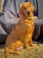 processed/6763a245-a80f-456c-8ab5-c8128ef9cf71/facility/83cc119d-d890-4486-859c-c46cd235e653