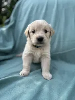 processed/6763a245-a80f-456c-8ab5-c8128ef9cf71/facility/b9b36e2e-6d8e-4ec7-82ce-a2c1a45f0d53