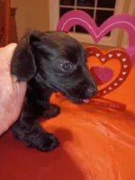 processed/6768cad0-560c-4553-b210-c957b21572a4/listing/cafe212b-0be8-4325-9d84-d4966474a3d2/6c674a6f-7d80-423b-bc37-b9c4c282d326