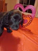 processed/6768cad0-560c-4553-b210-c957b21572a4/listing/cafe212b-0be8-4325-9d84-d4966474a3d2/7f0f283c-92c1-47eb-b671-b3d41df5afe5